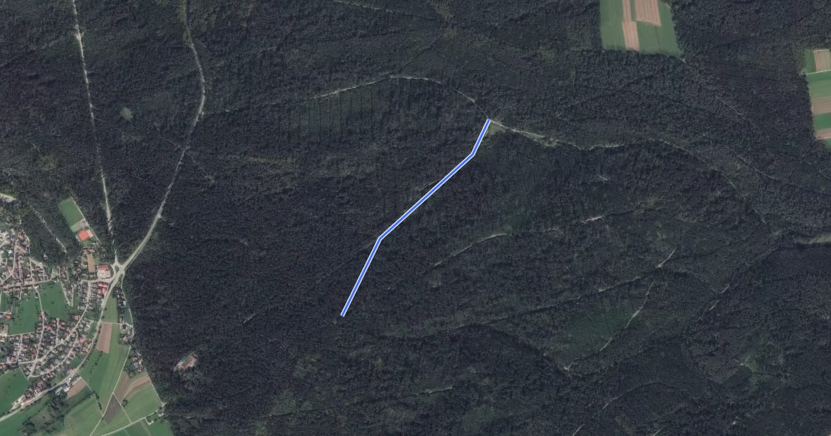 Маршрут Cresbacher Stich - Freiwiese на спутниковом снимке