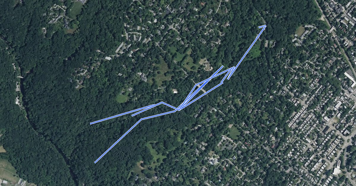 Маршрут Cresheim Creek Trail на спутниковом снимке