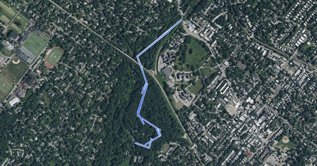 Маршрут Cresheim Trail на спутниковом снимке