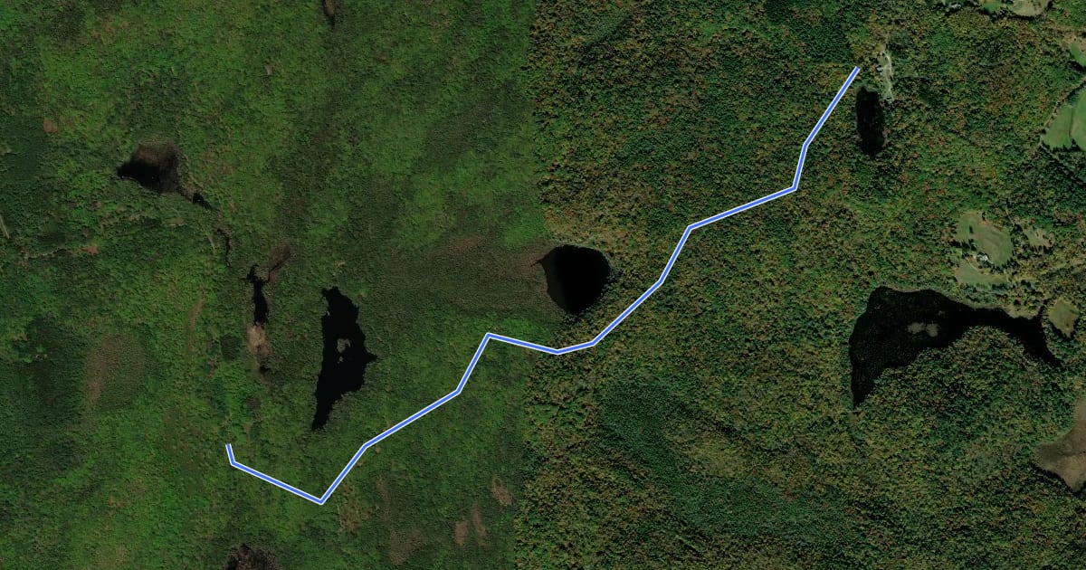 Маршрут Crissey Trail на спутниковом снимке