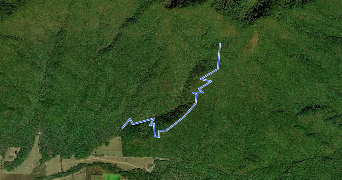 Маршрут Crooked Arm Ridge Trail на спутниковом снимке