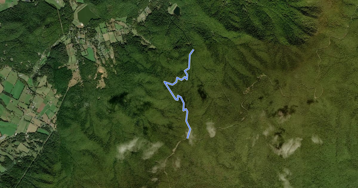Маршрут Crusher Ridge Trail на спутниковом снимке