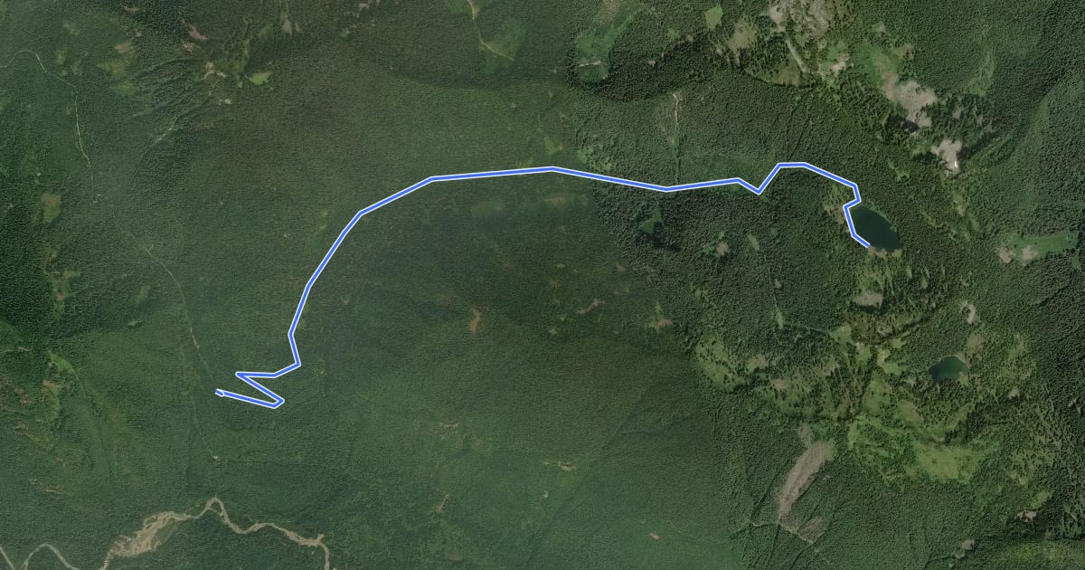 Маршрут Crystal Lake Trail на спутниковом снимке