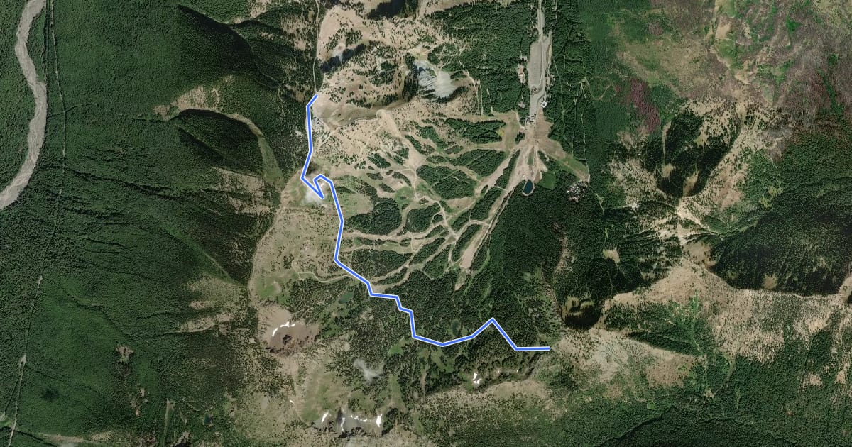 Маршрут Crystal Mountain Trail на спутниковом снимке