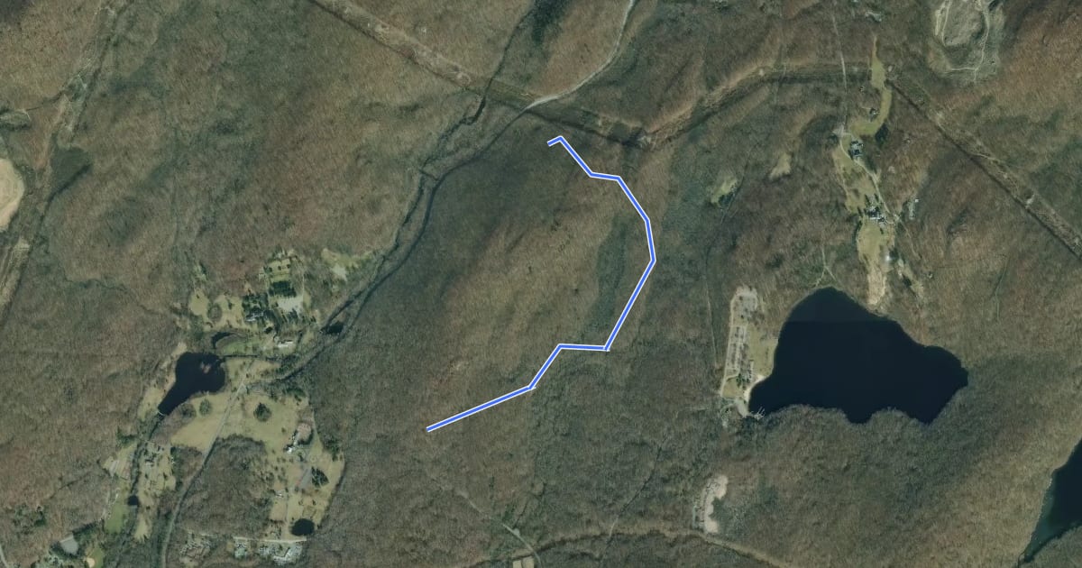 Маршрут Cupsaw Brook Trail на спутниковом снимке