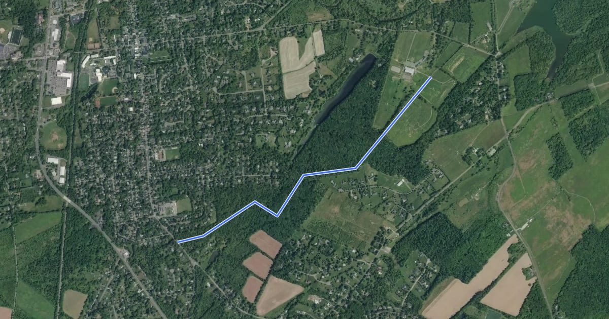 Маршрут Curlis Woods Trail на спутниковом снимке