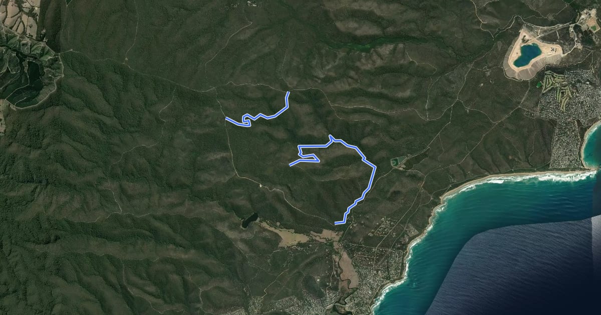 Маршрут Currawong Falls Track на спутниковом снимке