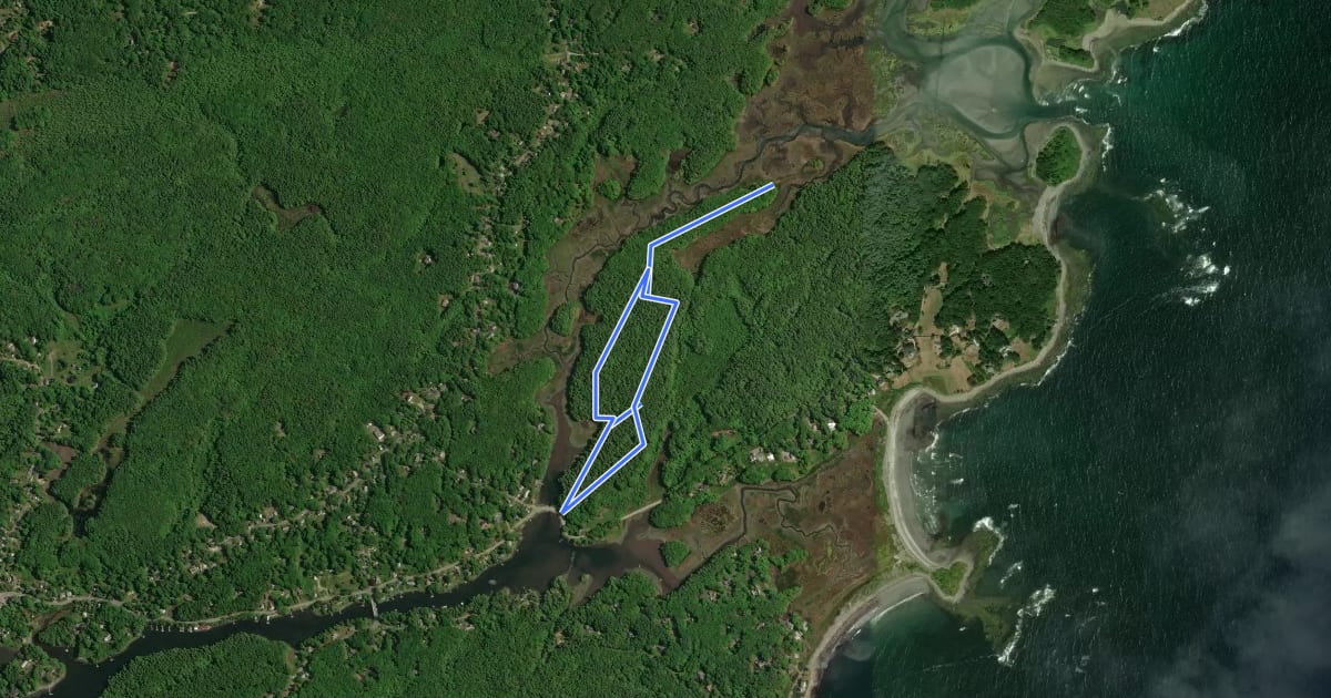 Маршрут Cutts Island Trail на спутниковом снимке