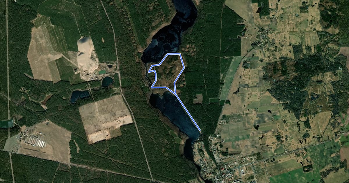 Маршрут Czarna trasa nordic walking на спутниковом снимке