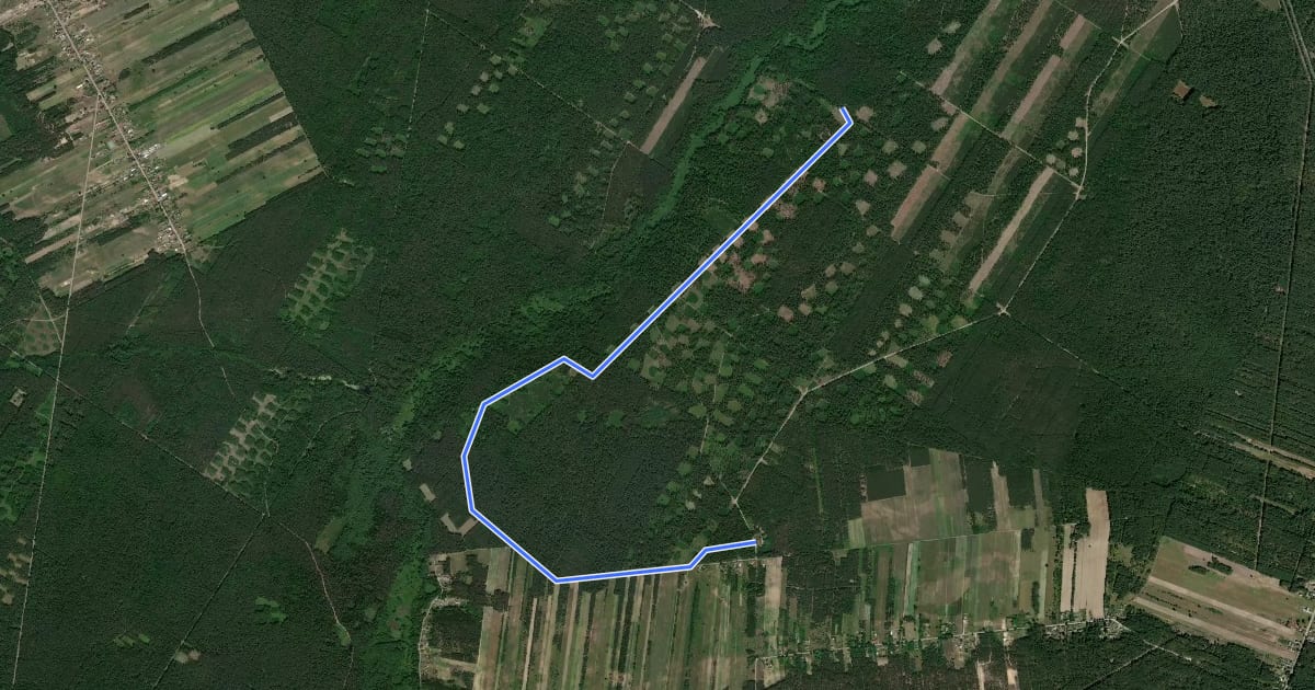 Маршрут Dąbrowa nad Zagożdżonką на спутниковом снимке