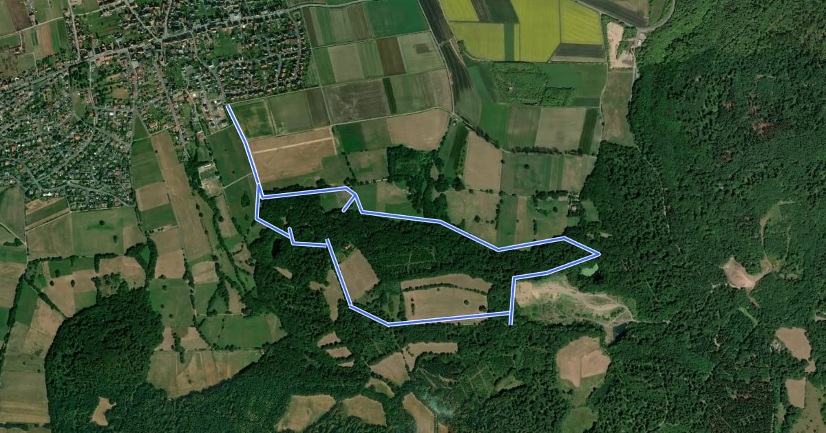 Маршрут Dörnberg, Rundweg 35 на спутниковом снимке