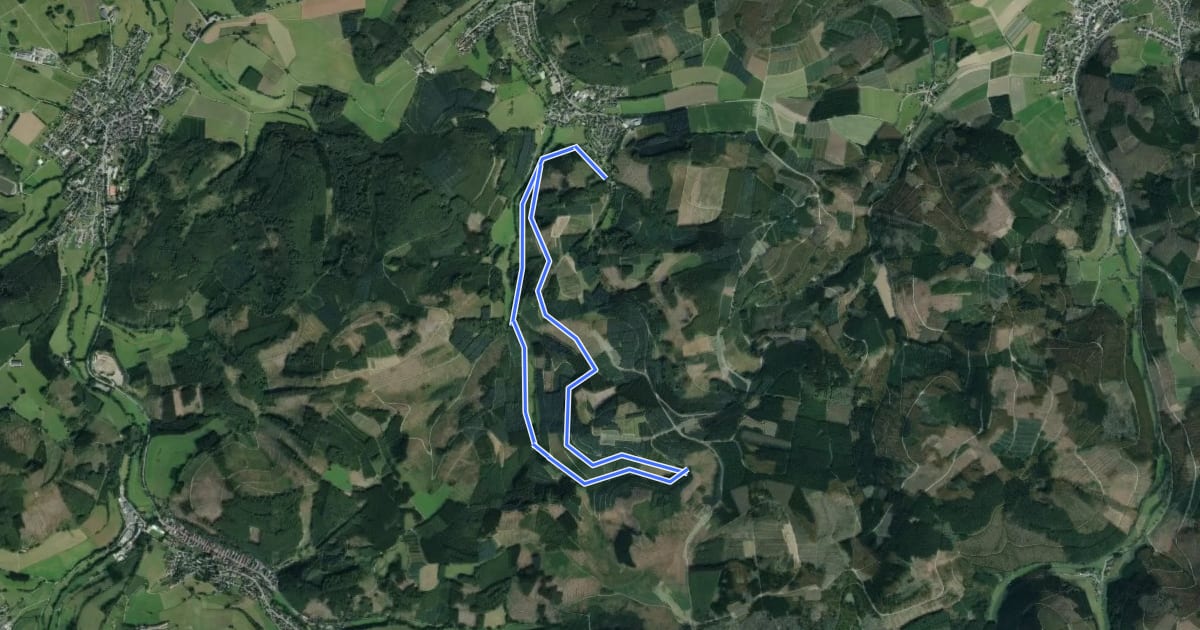 Маршрут Dörnholthausen Rundwanderweg A3 на спутниковом снимке