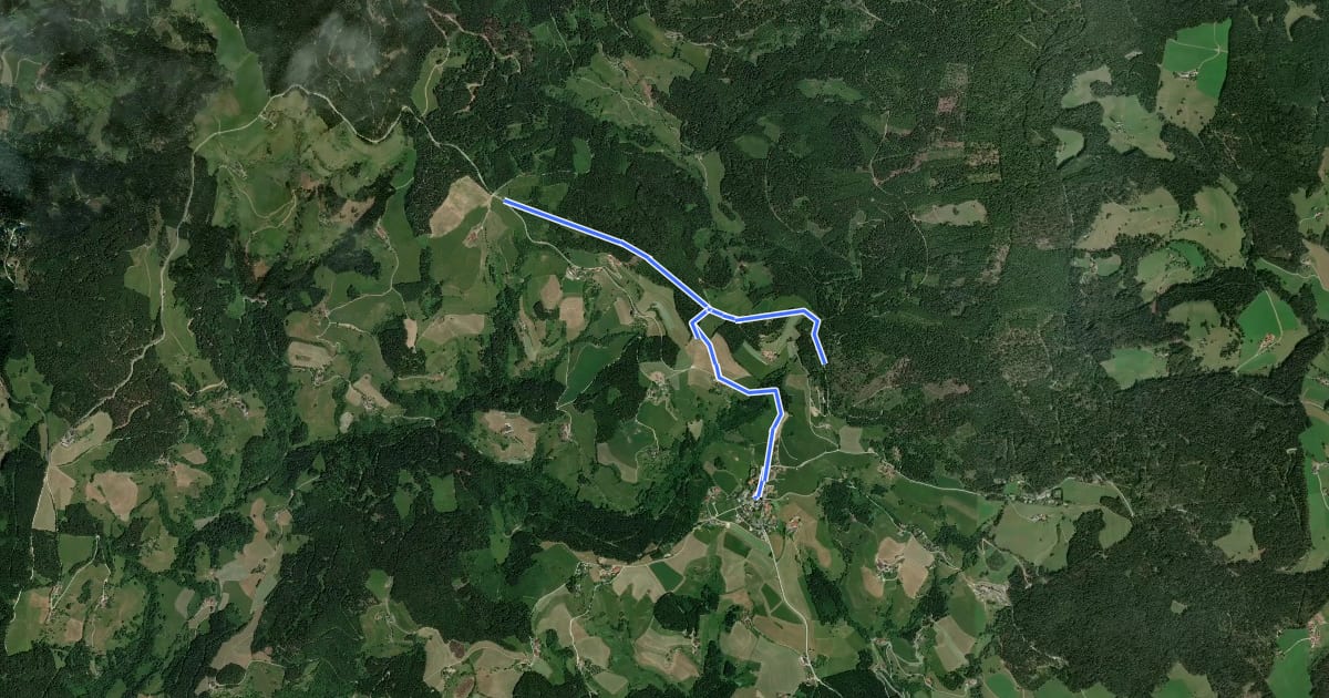 Маршрут D11 Wald-Themenweg на спутниковом снимке