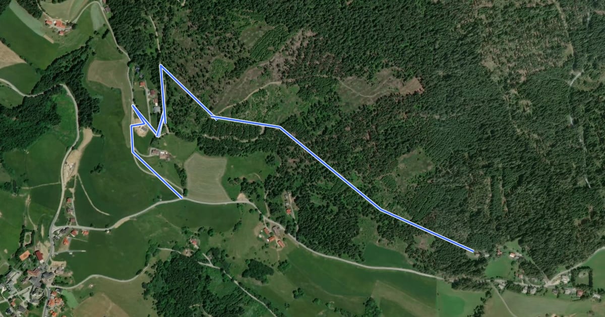 Маршрут D1a Panoramaweg - Kurzweg на спутниковом снимке