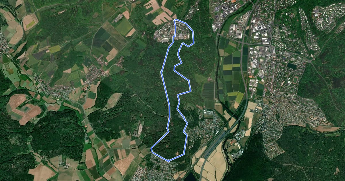 Маршрут [D3] Rundwanderweg Stadtwald Niederweimar на спутниковом снимке