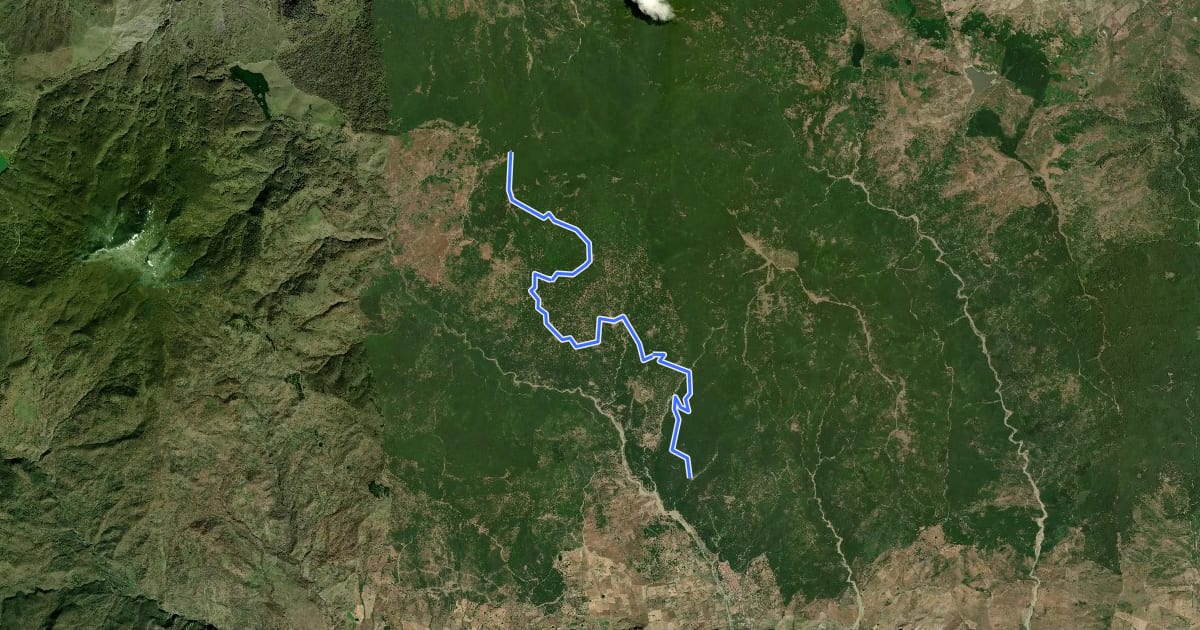 Маршрут D337 Bosco di Grappidà на спутниковом снимке