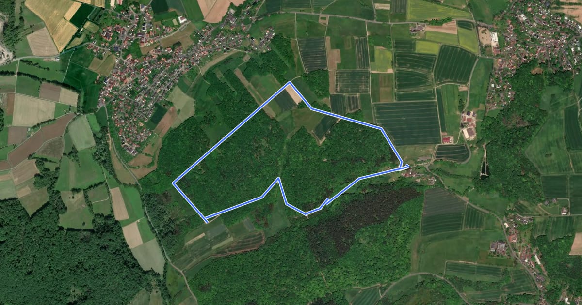 Маршрут [D5] Rundwanderweg Allersberg на спутниковом снимке