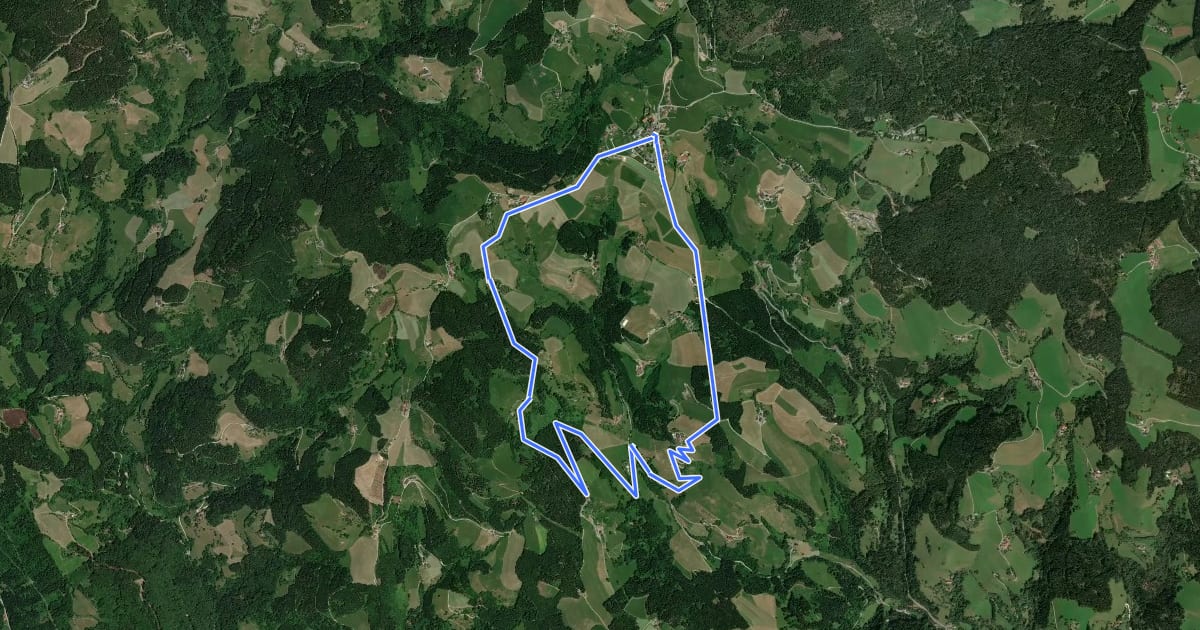 Маршрут D5 Schwarzgrabenweg на спутниковом снимке