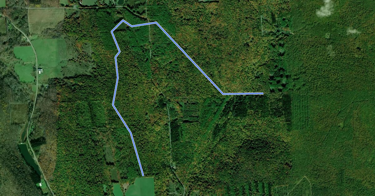 Маршрут Dabes Diversion Loop на спутниковом снимке