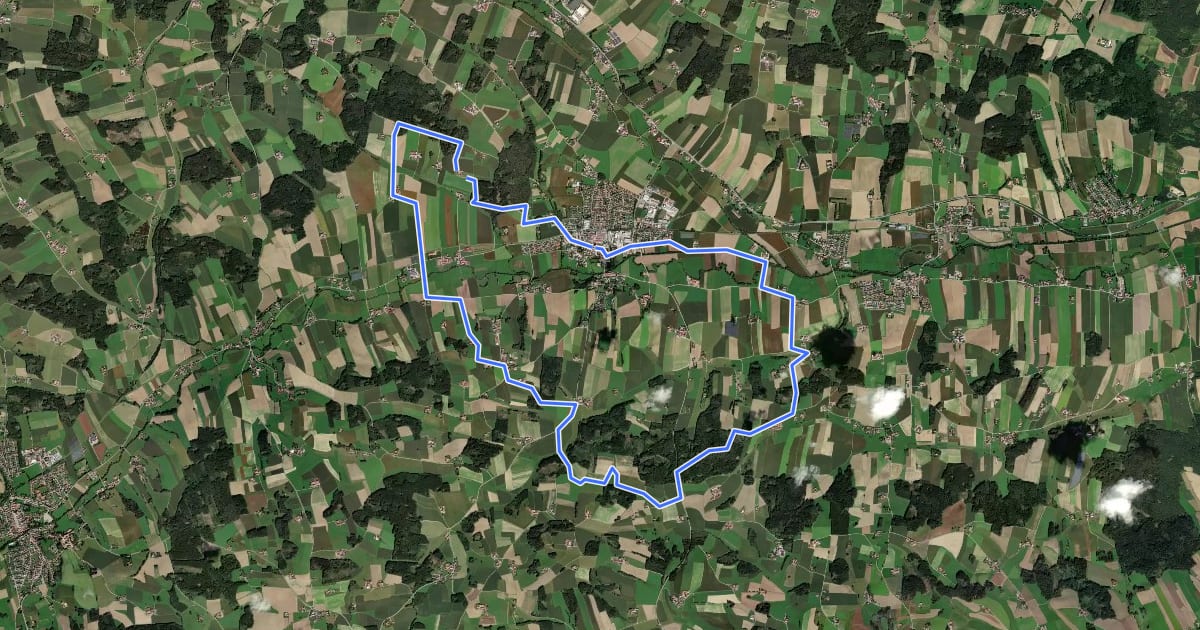 Маршрут Dachsberg-Runde на спутниковом снимке