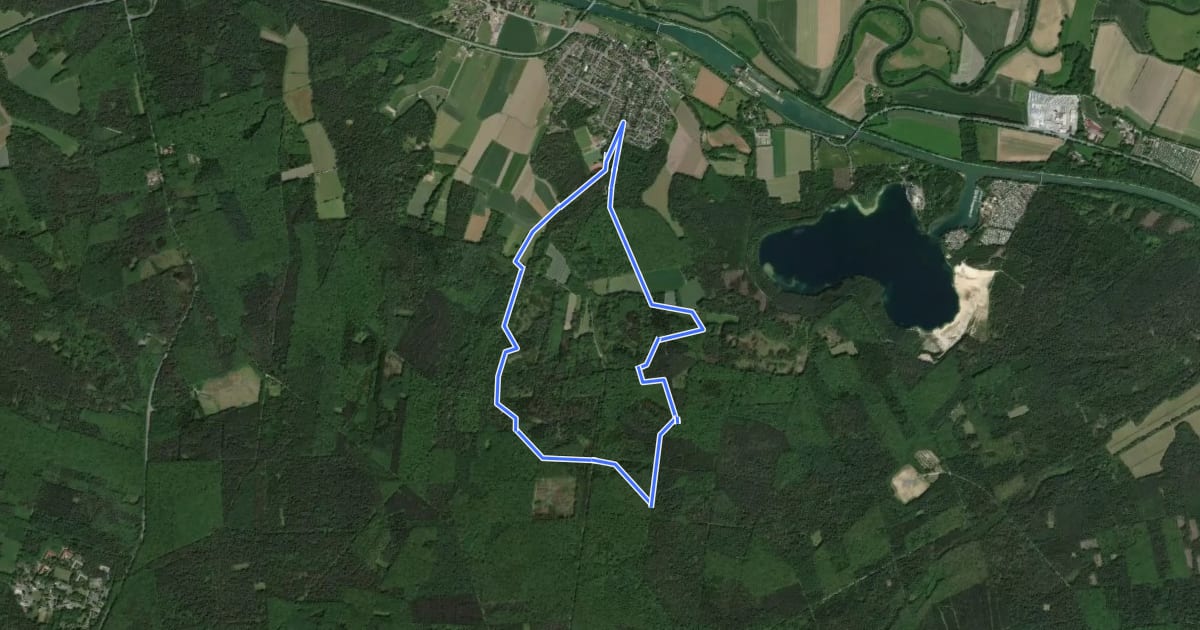 Маршрут Dachsberg Rundweg A2 на спутниковом снимке