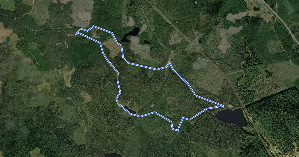 Маршрут Dagspår 8 km на спутниковом снимке