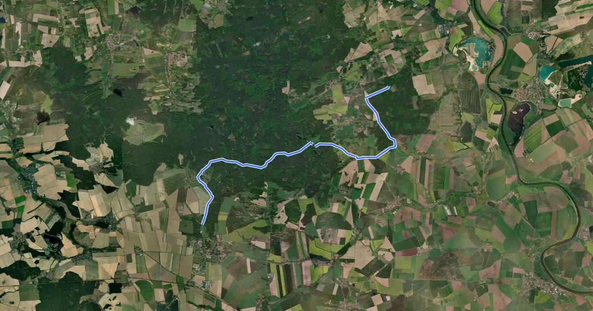 Маршрут Dahlen - Forsthaus Dröschkau на спутниковом снимке