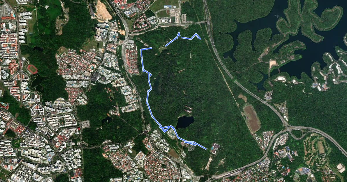 Маршрут Dairy Farm Nature Park на спутниковом снимке