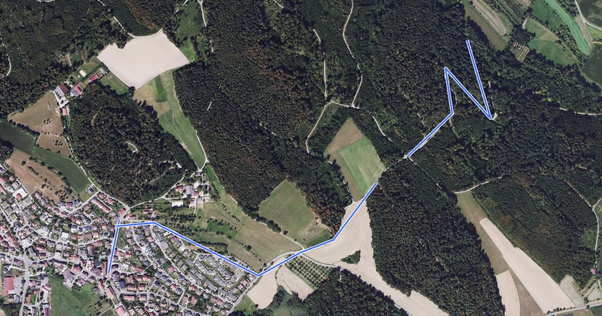Маршрут Daisendorf-Schiggendorf via Gärtlesberg на спутниковом снимке