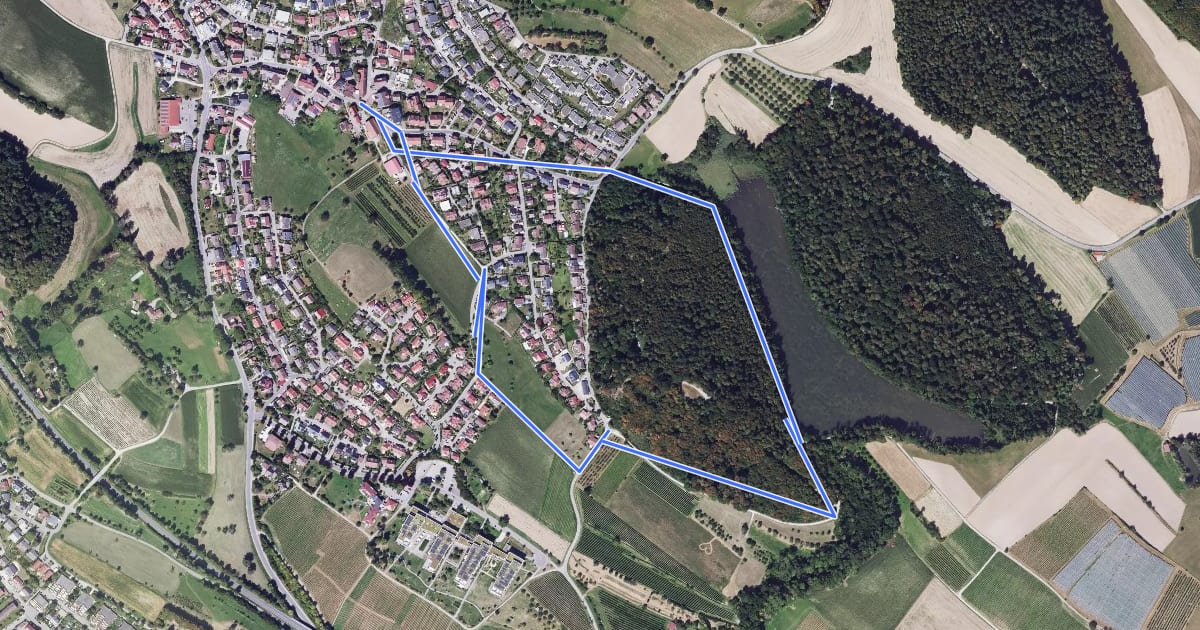 Маршрут Daisendorfer Wanderweg W1 на спутниковом снимке
