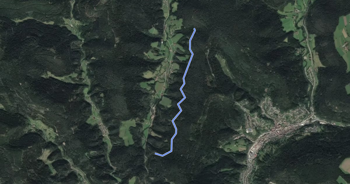 Маршрут Daiswald - Sommerhangweg Abzw. Auerhahn на спутниковом снимке