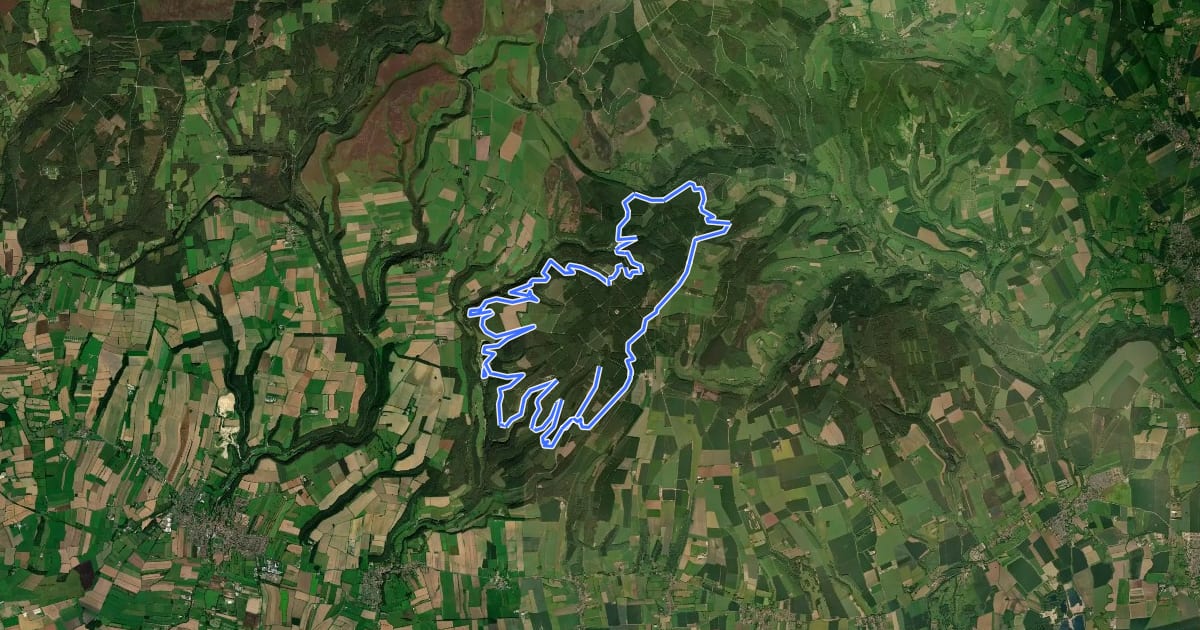 Маршрут Dalby Forest Red Route на спутниковом снимке