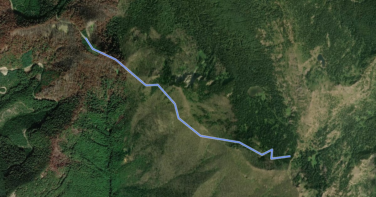 Маршрут Dalles Ridge Trail на спутниковом снимке