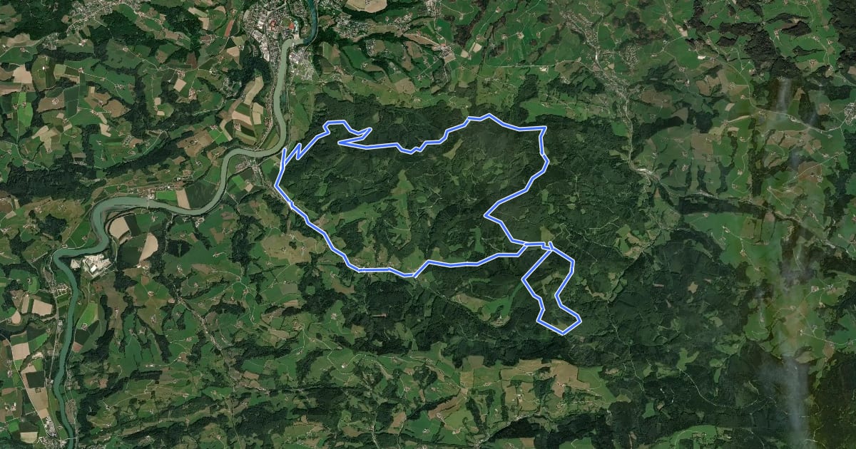 Маршрут Damberg-Schwarzberg на спутниковом снимке