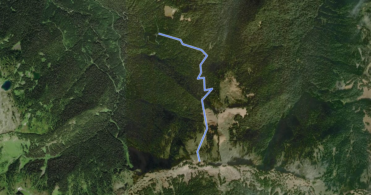 Маршрут Damfino Lakes Trail на спутниковом снимке