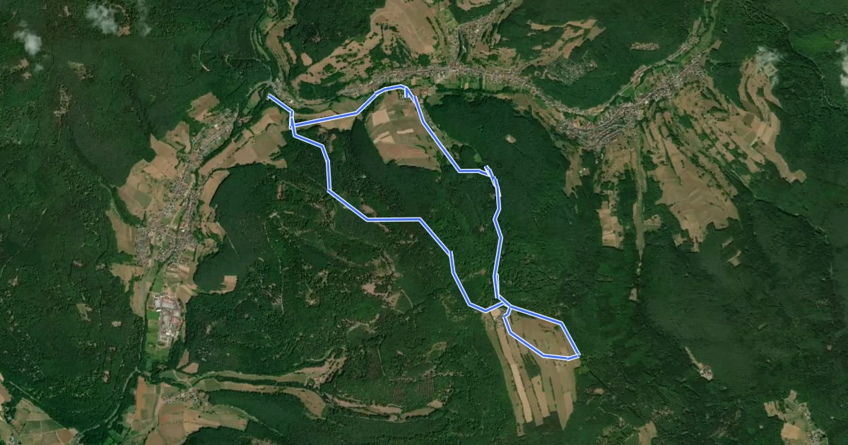 Маршрут Dammbach-RÄUBERpfad "Himmelshirtenweg" на спутниковом снимке