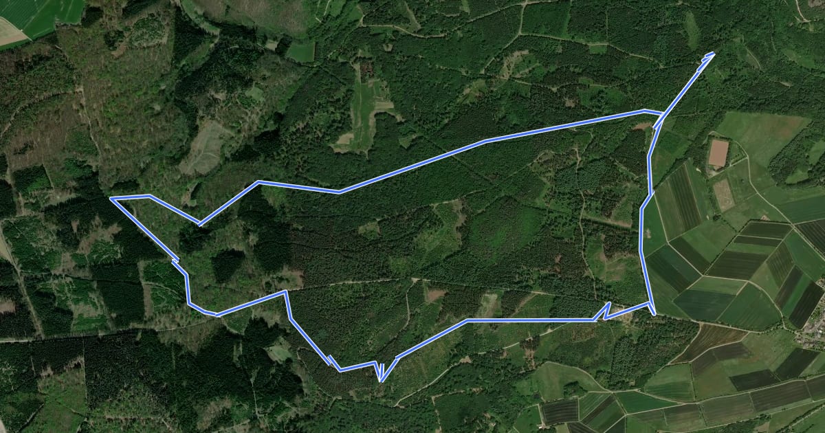 Маршрут Damscheid Rundweg Aldegundis на спутниковом снимке