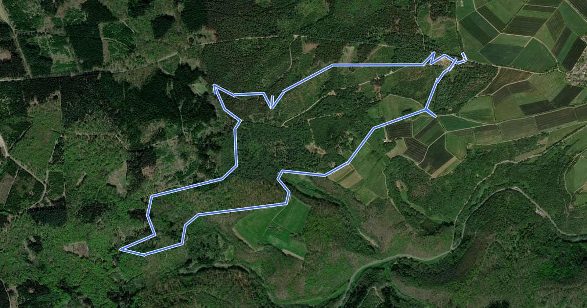Маршрут Damscheid Rundweg Fichte на спутниковом снимке