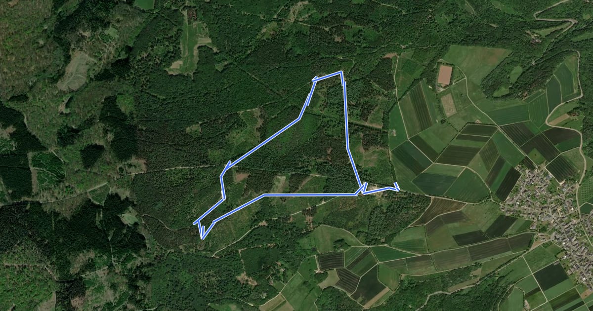 Маршрут Damscheid Rundweg Hohenstein на спутниковом снимке