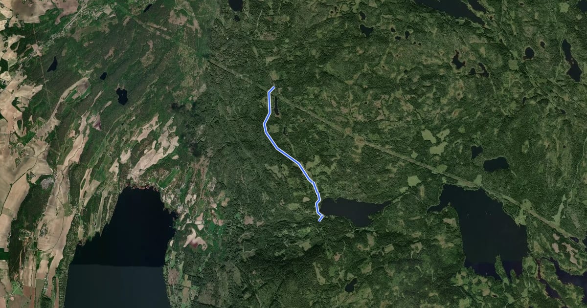 Маршрут Damtjern-Ringkollen на спутниковом снимке