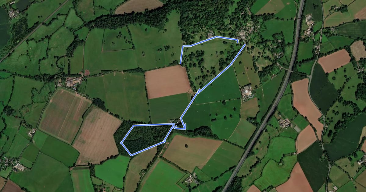 Маршрут Danes Wood Walk, Killerton на спутниковом снимке