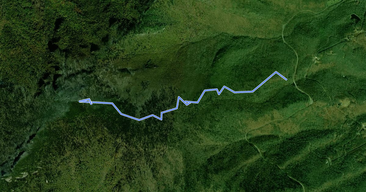 Маршрут Daniel Boone Scout Trail на спутниковом снимке