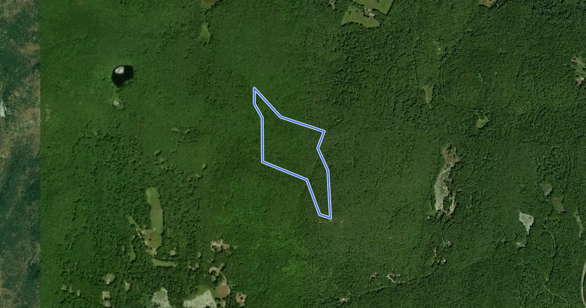 Маршрут Daniels Mountain Loop на спутниковом снимке