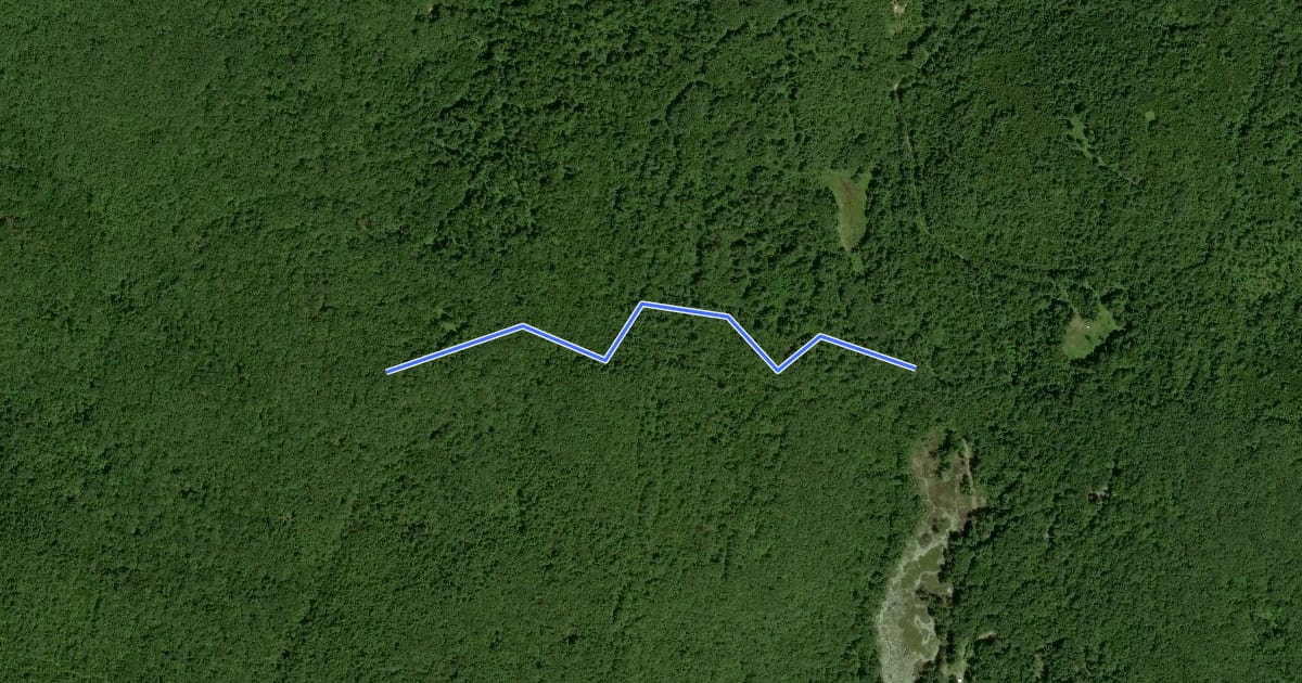 Маршрут Daniels Mountain Trail на спутниковом снимке