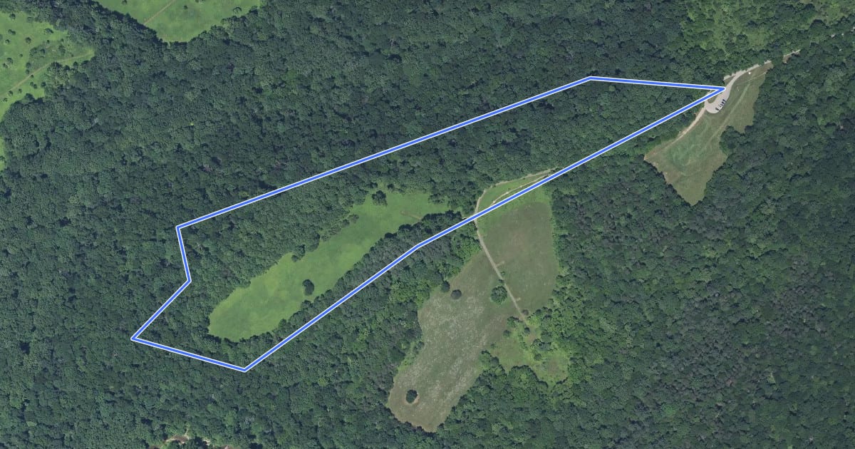 Маршрут Dark Branch Trail на спутниковом снимке