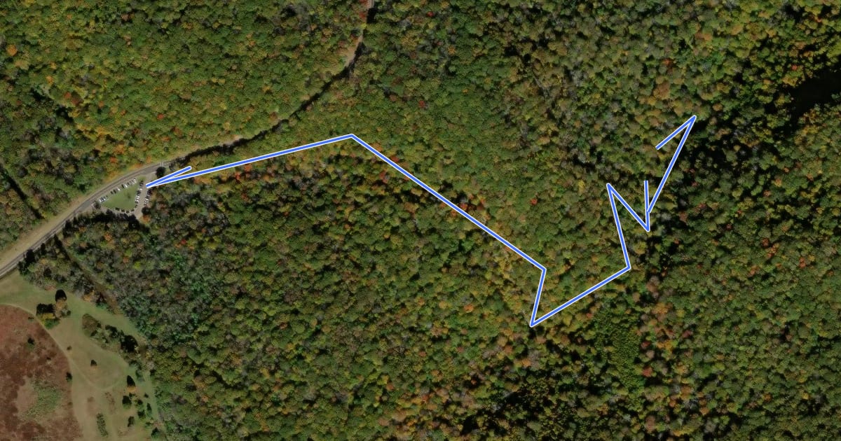 Маршрут Dark Holllow Falls Trail на спутниковом снимке