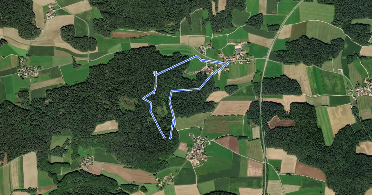 Маршрут DAV-Rundweg (Grünring) на спутниковом снимке