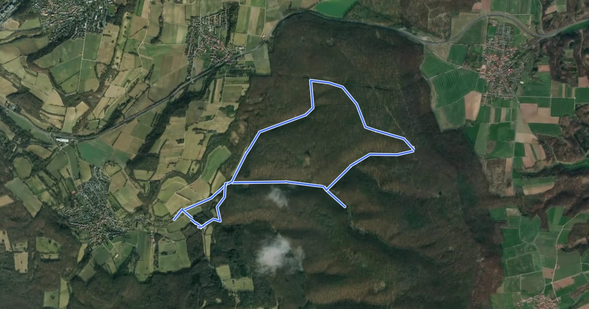 Маршрут DAV Tour 1 "Waldwiesenweg" на спутниковом снимке