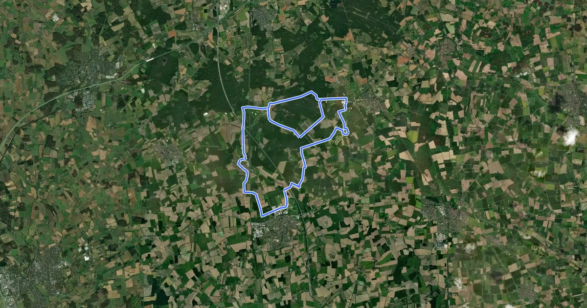 Маршрут Davensberg Rundweg W3 на спутниковом снимке