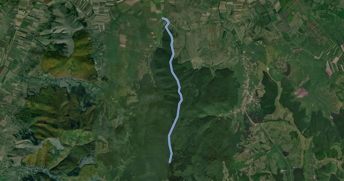 Маршрут DC 25 (Aninoasa–Saciova) – Vârful Şiridiu – intersecţia cu creasta principală (traseul BR) на спутниковом снимке